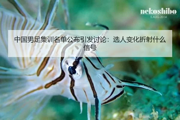zhong-guo-nan-zu-ji-xun-ming-dan-gong-bu-yin-fa-tao-lun-xuan-ren-bian-hua-zhe-she-shen-me-xin-hao-2-764.jpg